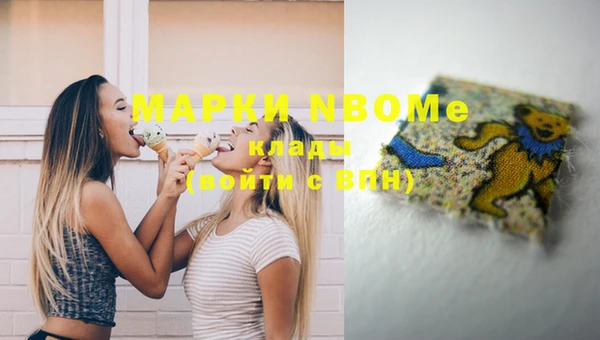 индика Алексин
