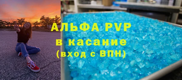индика Алексин