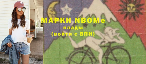 индика Алексин