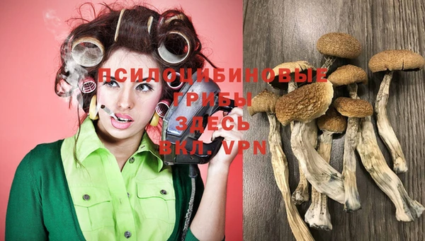 индика Алексин